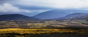 England, Northumberland, Northumberland National Park. The Cheviot and other typical landscape encountered on the St Cuthberts way track
