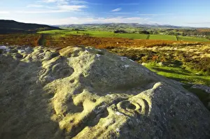 England, Northumberland, Northumberland National Park. Pre-historic cup