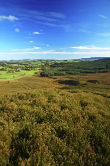 England, Northumberland, Northumberland National Park. View looking from Harbottle Crags Nature Reserve (Northumberland Wildlife Trust) towards Harbottle
