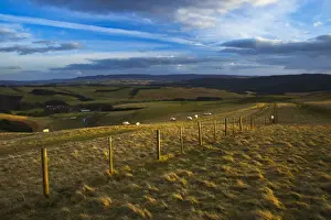 England, Northumberland, Northumberland National Park. A wire fencel running alongside the historic Clennell Steet route, as it heads towards Alwinton