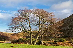 Walking Prints: England, Northumberland, Northumberland National Park