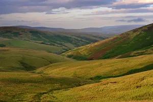 Natural Prints: England, Northumberland, Northumberland National Park