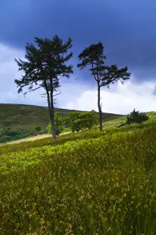 England, Northumberland, Northumberland National Park