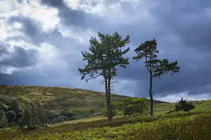 England, Northumberland, Northumberland National Park