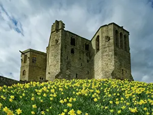 Fortress Prints: England, Northumberland, Warkworth Castle