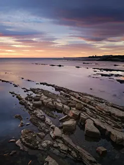 Natural Prints: England, Tyne and Wear, Cullercoats