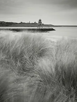 Light Prints: England, Tyne & Wear, South Shields.
England, Tyne & Wear, South Shields