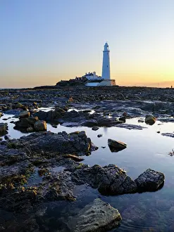 Natural Prints: England, Tyne and Wear, Whitley Bay