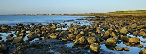 Natural Prints: England, Tyne and Wear, Whitley Bay
