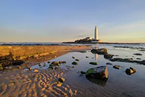 Natural Prints: England, Tyne and Wear, Whitley Bay