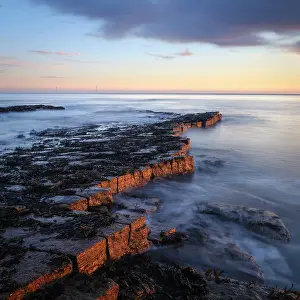 Natural Prints: England, Tyne and Wear, Whitley Bay