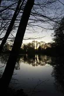 ENGLAND West Midlands Baggeridge Country Park A winter sunset behind the tree clad banks of one of