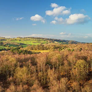 England, West Midlands, Kinver Edge