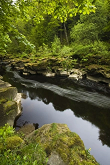 England, Yorkshire, Yorkshire Dales National Park