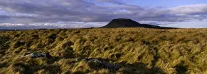 ENGLAND Yorkshire Yorkshire Dales National Park Limestone outcrops in moor land dominated by the peak