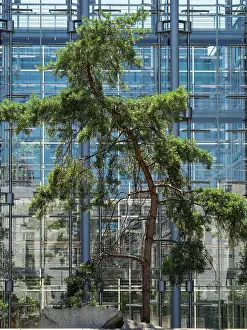 Glass Prints: Germany, Berlin, Paul Loebe Haus