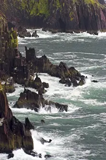Ireland Prints: Ireland County Kerry Dingle Peninsula Waves crash against the sheer cliffs of Dingle Bay in the Dingle