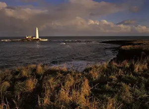Late afternoon light bathes the coastline of the North Tyneside Coast near Whitley Bay