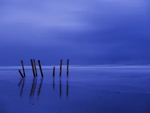 New Zealand, Dunedin, St Clair Beach