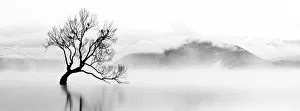 New Zealand, Otago, Lake Wanaka