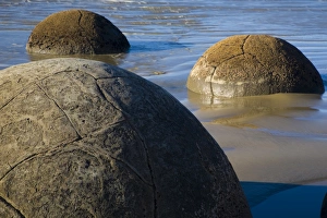 New Zealand, Otago, Moeraki Boulders. The famous spherical Moeraki boulders on the North Otago coast