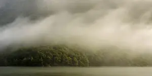 New Zealand, South Island, Fiordland National Park