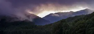 New Zealand, South Island, Fiordland National Park