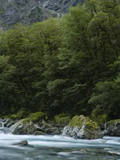 New Zealand, South Island, Fiordland National Park