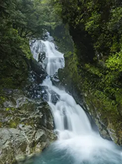 New Zealand, South Island, Fiordland National Park
