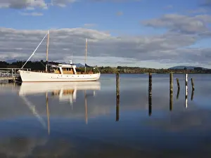 New Zealand, South Island, Fiordland National Park
