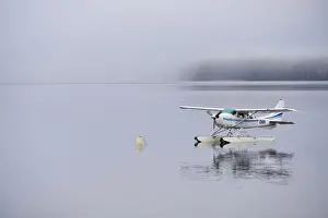 New Zealand, South Island, Fiordland National Park