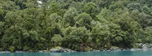 New Zealand, South Island, Mount Aspiring National Park