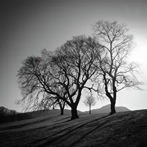 City Prints: Scotland, Edinburgh, Calton Hill