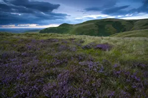 Scotland, Scottish Borders, English Border / Northumberland National Park