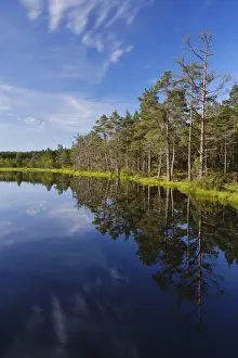 Scotland, Scottish Highlands, Cairngorms National Park