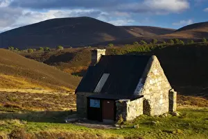 Alpine Prints: Scotland, Scottish Highlands, Cairngorms National Park