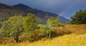 Scotland, Stirling, Loch Lomond and the Trossachs National Park. Rainbow over the banks of Loch Lomond