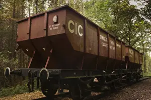 Tyne Book Prints: Train truck used to transport ore through what is now forestry commission woodland between High Spen