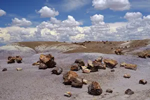 Colour Prints: United States of America, Ariziona, Petrified Forest National Park