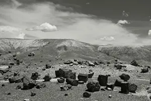 Colour Prints: United States of America, Ariziona, Petrified Forest National Park