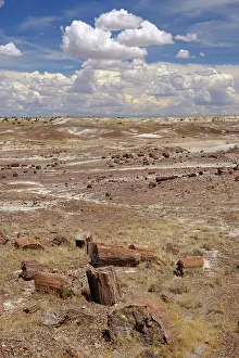 Colour Prints: United States of America, Ariziona, Petrified Forest National Park