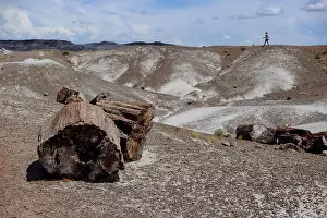 Colour Prints: United States of America, Ariziona, Petrified Forest National Park