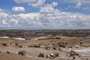 Colour Prints: United States of America, Ariziona, Petrified Forest National Park