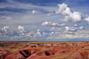 Colour Prints: United States of America, Ariziona, Petrified Forest National Park