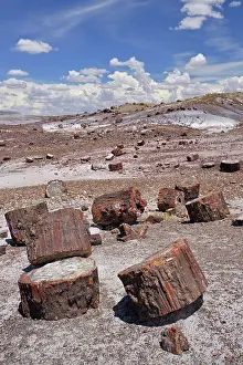 Colour Prints: United States of America, Ariziona, Petrified Forest National Park