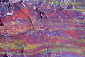 Colour Prints: United States of America, Ariziona, Petrified Forest National Park