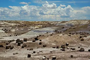 Colour Prints: United States of America, Ariziona, Petrified Forest National Park