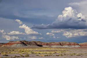 Colour Prints: United States of America, Ariziona, Petrified Forest National Park