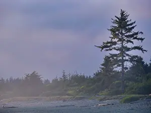 Exploration Prints: United States of America, California, Del Norte Coast Redwoods State Park
