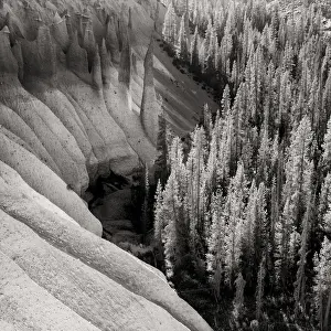Conservation Prints: United States of America, Oregon, Crater Lake National Park